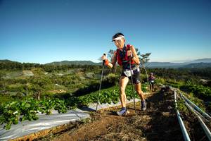 BIB: 2017, 
                            <button type="button" onclick="openModal(19117443)" class="btn btn-primary btn-sm float-right btn-popup" data-toggle="modal" data-target=".modal-high-quality">
                        <i class="fas fa-shopping-cart"></i> Add to Cart
                    </button>
                                            <button type="button" onclick="isThisMe(19117443, true)" class="btn btn-success btn-sm float-right btn-popup btn-isme hidden" data-toggle="tooltip" data-placement="bottom" title="นี่คือรูปของคุณใช่ไหม คลิกที่นี่เพื่อเอาเข้าอัลบั้ม">
                        <i class="fas fa-plus"></i> Add to album
                    </button>
                    <button type="button" onclick="isThisMe(19117443, false)" class="btn btn-warning btn-sm float-right btn-popup btn-isnotme hidden">
                        <i class="fas fa-ban"></i> Remove from album
                    </button>